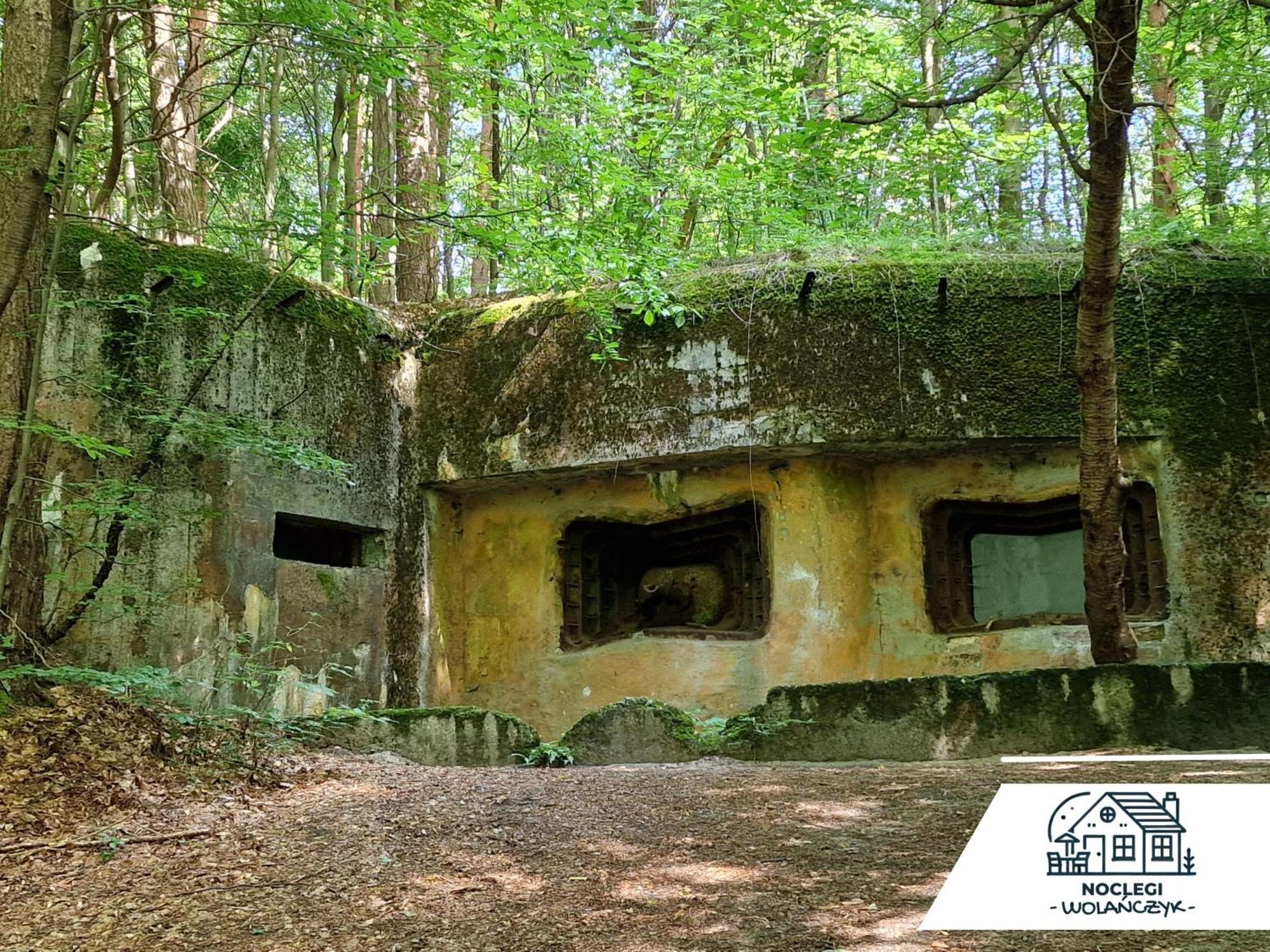 Wola Wielka - Domki Wygoda Nr2 Narol Exterior foto